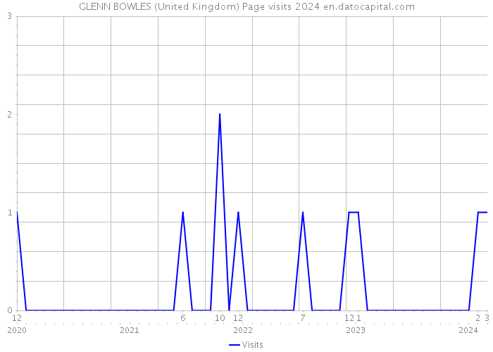 GLENN BOWLES (United Kingdom) Page visits 2024 