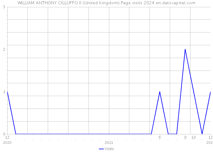 WILLIAM ANTHONY CILLUFFO II (United Kingdom) Page visits 2024 