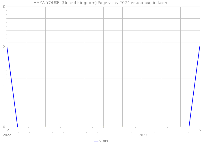 HAYA YOUSFI (United Kingdom) Page visits 2024 