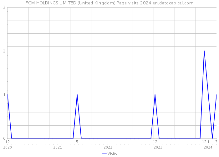 FCM HOLDINGS LIMITED (United Kingdom) Page visits 2024 