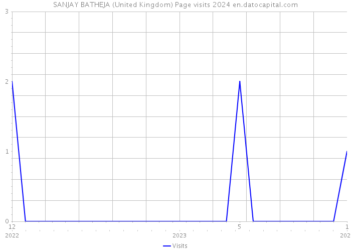 SANJAY BATHEJA (United Kingdom) Page visits 2024 