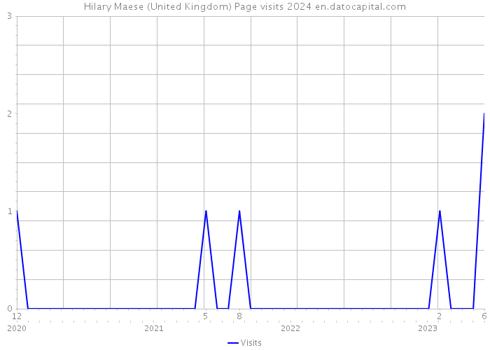 Hilary Maese (United Kingdom) Page visits 2024 