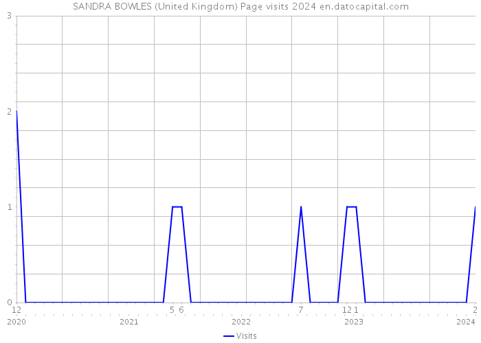SANDRA BOWLES (United Kingdom) Page visits 2024 