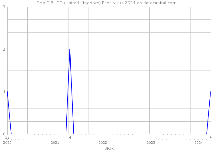 DAVID RUDD (United Kingdom) Page visits 2024 