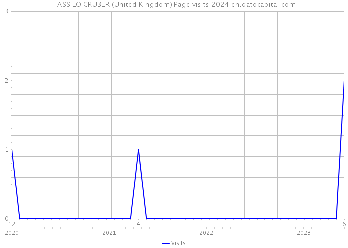 TASSILO GRUBER (United Kingdom) Page visits 2024 