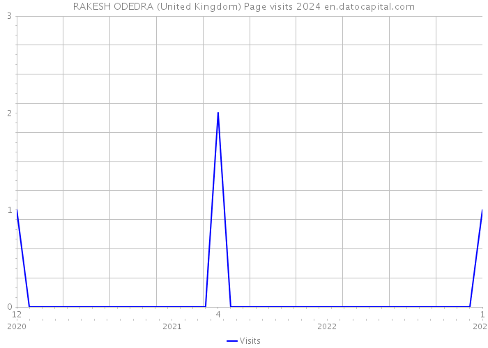 RAKESH ODEDRA (United Kingdom) Page visits 2024 