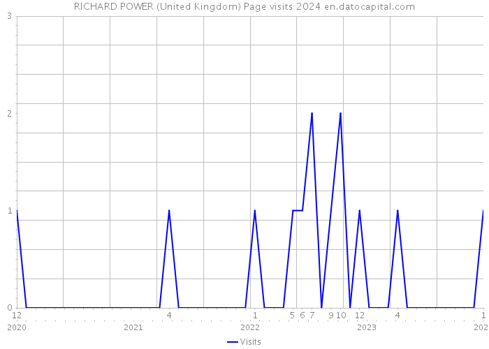 RICHARD POWER (United Kingdom) Page visits 2024 
