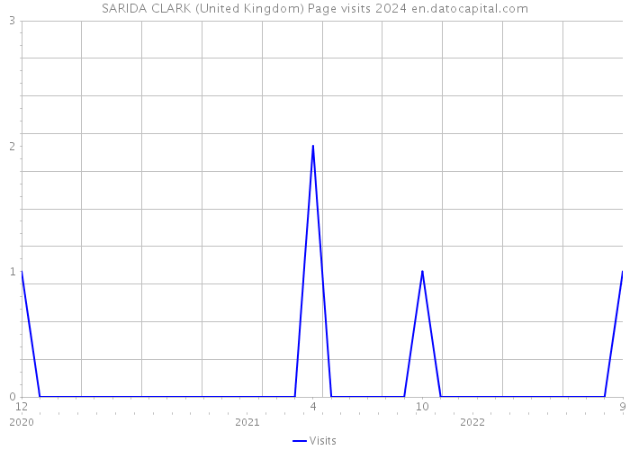 SARIDA CLARK (United Kingdom) Page visits 2024 