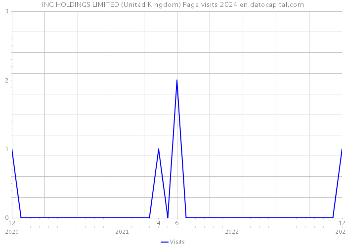 ING HOLDINGS LIMITED (United Kingdom) Page visits 2024 