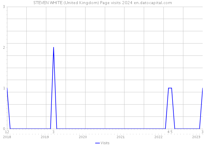 STEVEN WHITE (United Kingdom) Page visits 2024 