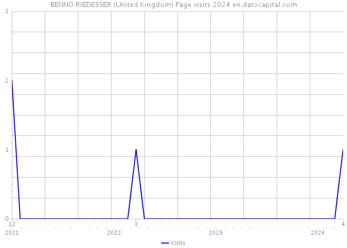BENNO RIEDESSER (United Kingdom) Page visits 2024 
