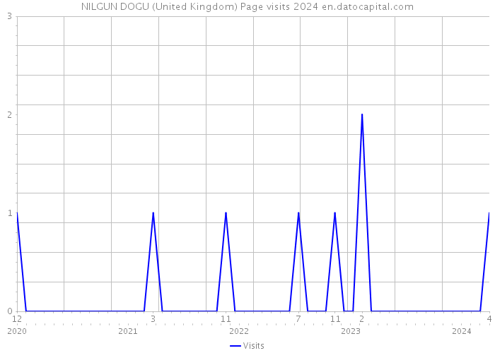 NILGUN DOGU (United Kingdom) Page visits 2024 