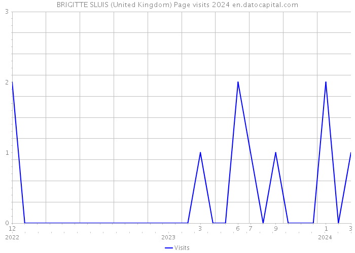 BRIGITTE SLUIS (United Kingdom) Page visits 2024 