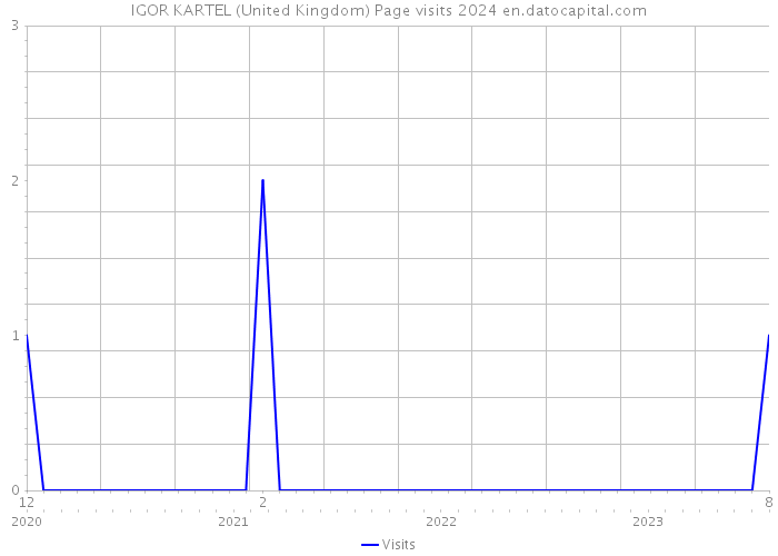 IGOR KARTEL (United Kingdom) Page visits 2024 