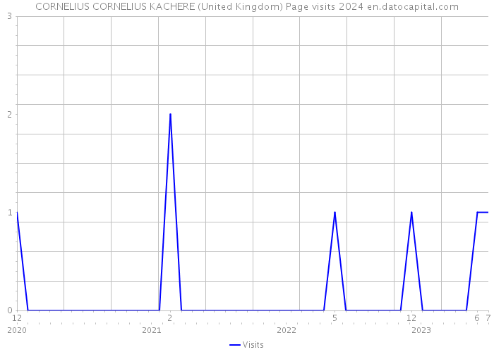 CORNELIUS CORNELIUS KACHERE (United Kingdom) Page visits 2024 