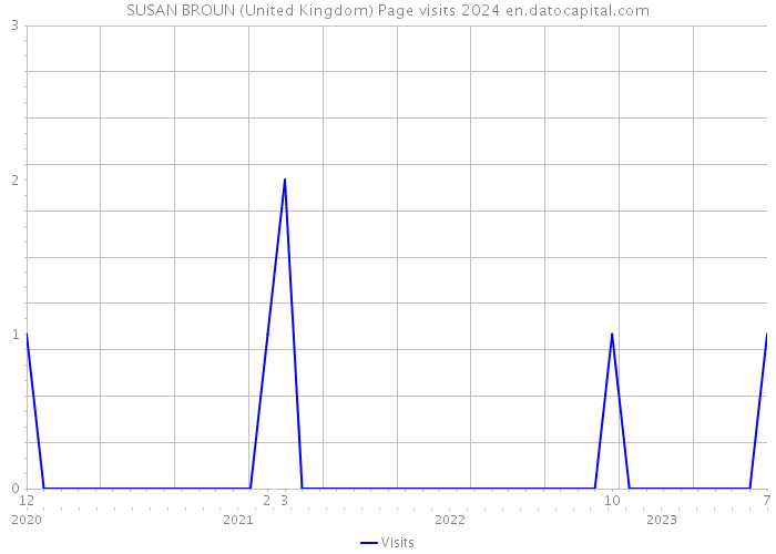 SUSAN BROUN (United Kingdom) Page visits 2024 