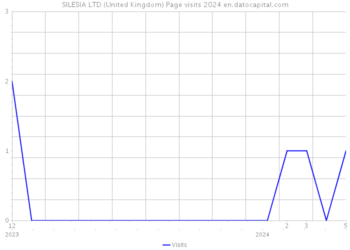 SILESIA LTD (United Kingdom) Page visits 2024 
