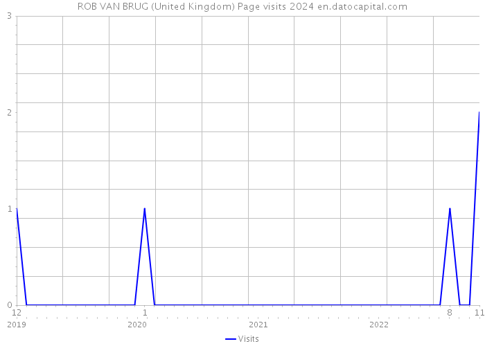 ROB VAN BRUG (United Kingdom) Page visits 2024 