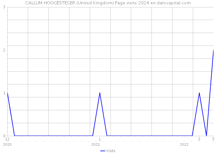 CALLUM HOOGESTEGER (United Kingdom) Page visits 2024 