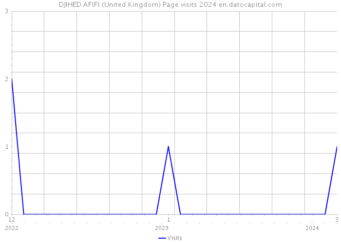 DJIHED AFIFI (United Kingdom) Page visits 2024 