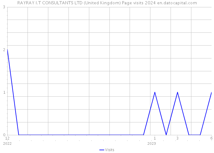 RAYRAY I.T CONSULTANTS LTD (United Kingdom) Page visits 2024 
