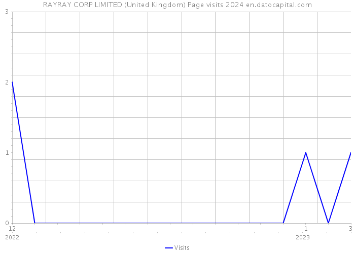 RAYRAY CORP LIMITED (United Kingdom) Page visits 2024 