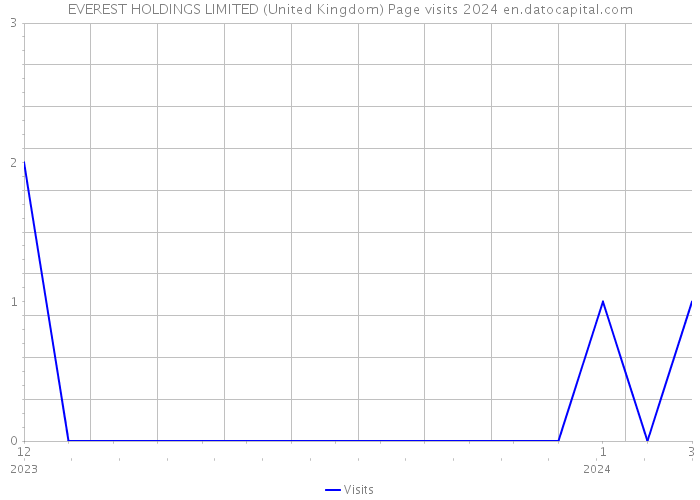 EVEREST HOLDINGS LIMITED (United Kingdom) Page visits 2024 