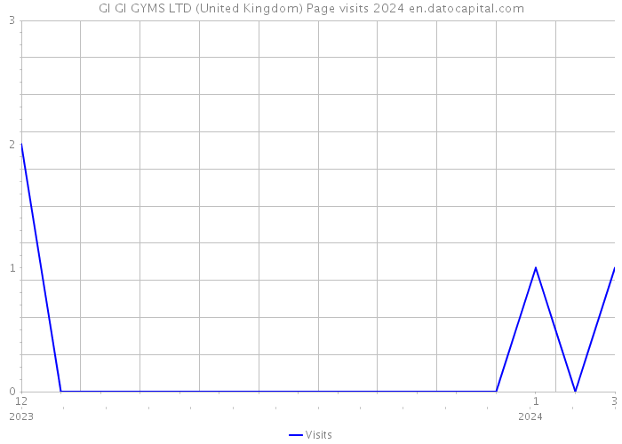 GI GI GYMS LTD (United Kingdom) Page visits 2024 