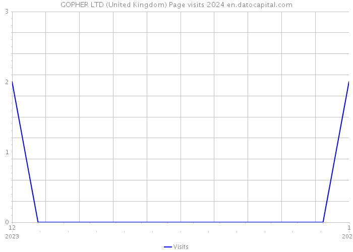 GOPHER LTD (United Kingdom) Page visits 2024 