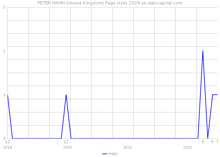 PETER HAHN (United Kingdom) Page visits 2024 