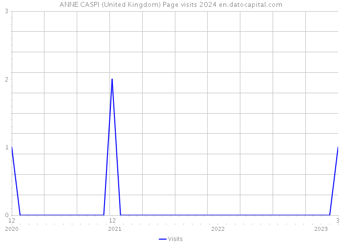 ANNE CASPI (United Kingdom) Page visits 2024 
