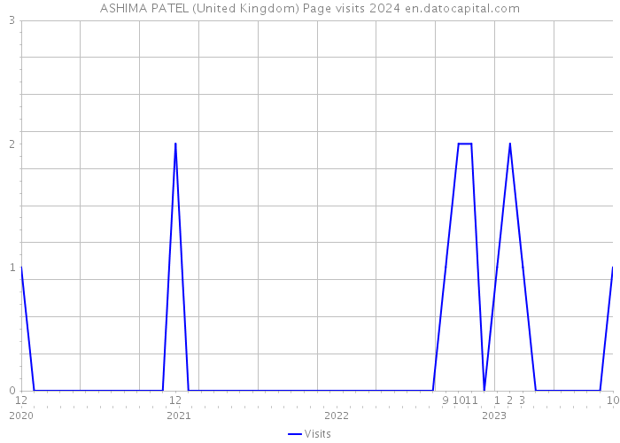 ASHIMA PATEL (United Kingdom) Page visits 2024 