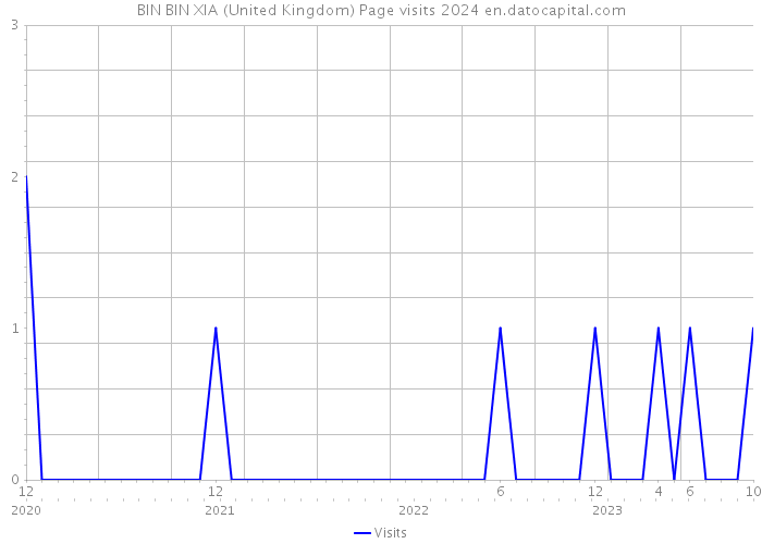 BIN BIN XIA (United Kingdom) Page visits 2024 