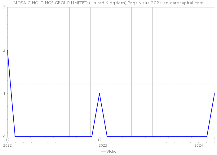 MOSAIC HOLDINGS GROUP LIMITED (United Kingdom) Page visits 2024 