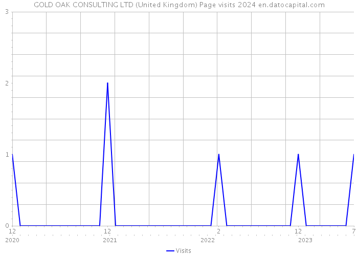 GOLD OAK CONSULTING LTD (United Kingdom) Page visits 2024 