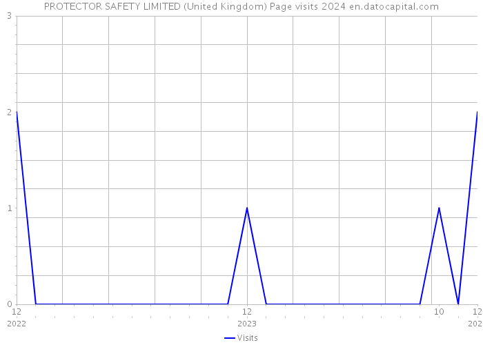 PROTECTOR SAFETY LIMITED (United Kingdom) Page visits 2024 