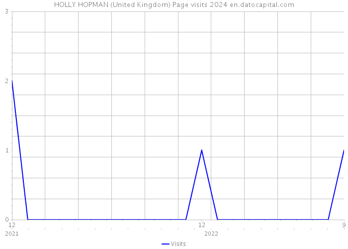 HOLLY HOPMAN (United Kingdom) Page visits 2024 