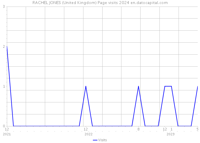 RACHEL JONES (United Kingdom) Page visits 2024 
