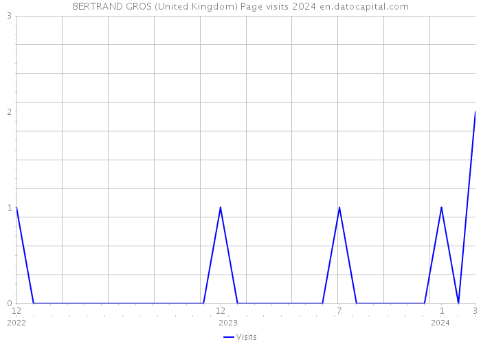 BERTRAND GROS (United Kingdom) Page visits 2024 