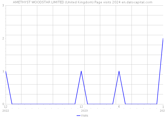 AMETHYST WOODSTAR LIMITED (United Kingdom) Page visits 2024 