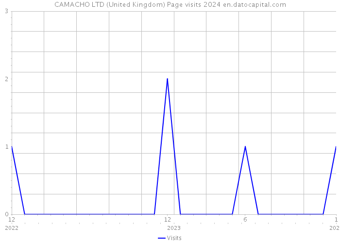 CAMACHO LTD (United Kingdom) Page visits 2024 