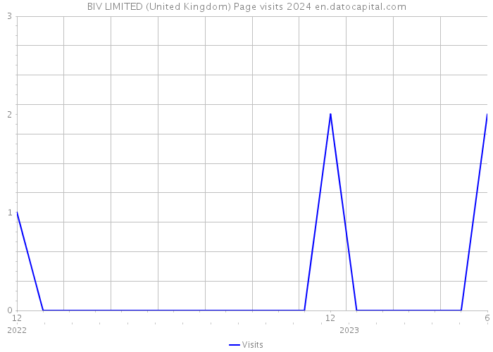 BIV LIMITED (United Kingdom) Page visits 2024 