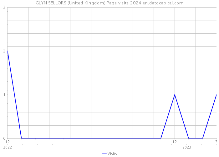 GLYN SELLORS (United Kingdom) Page visits 2024 