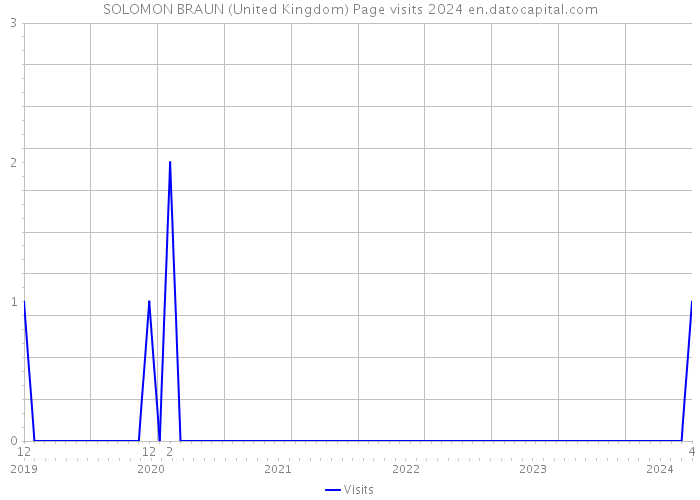 SOLOMON BRAUN (United Kingdom) Page visits 2024 