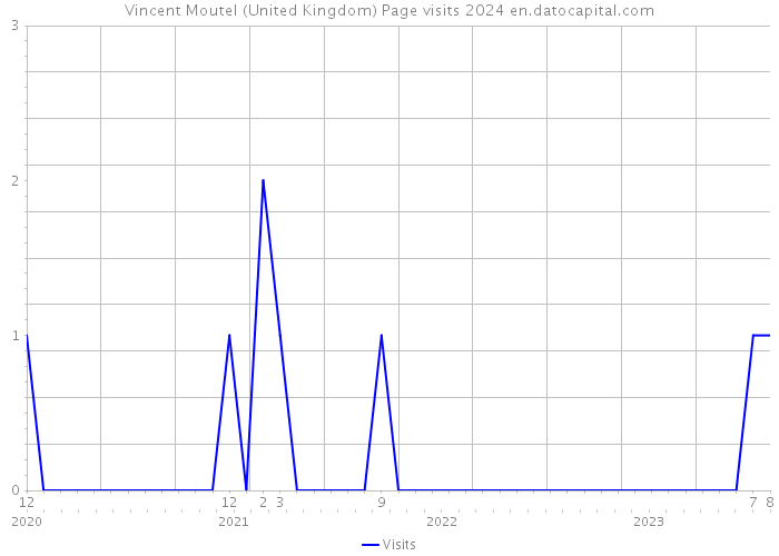 Vincent Moutel (United Kingdom) Page visits 2024 