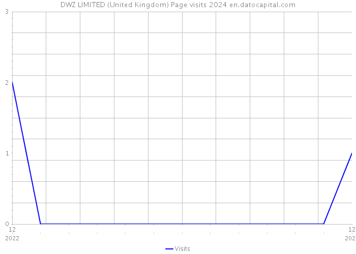 DWZ LIMITED (United Kingdom) Page visits 2024 