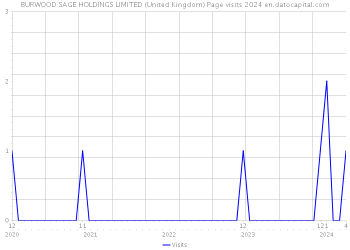 BURWOOD SAGE HOLDINGS LIMITED (United Kingdom) Page visits 2024 