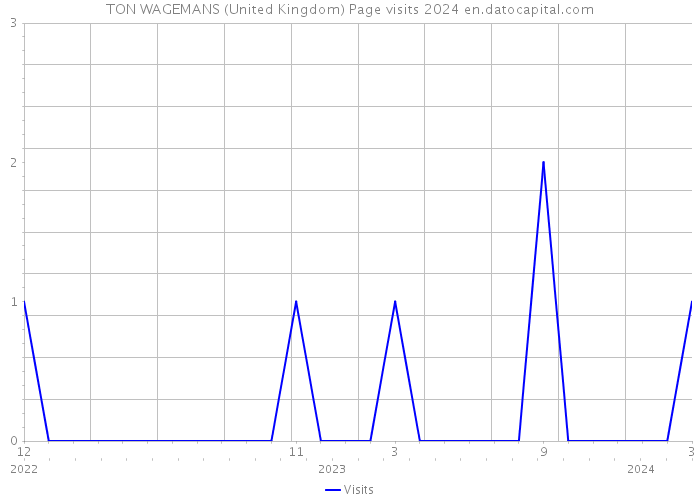 TON WAGEMANS (United Kingdom) Page visits 2024 