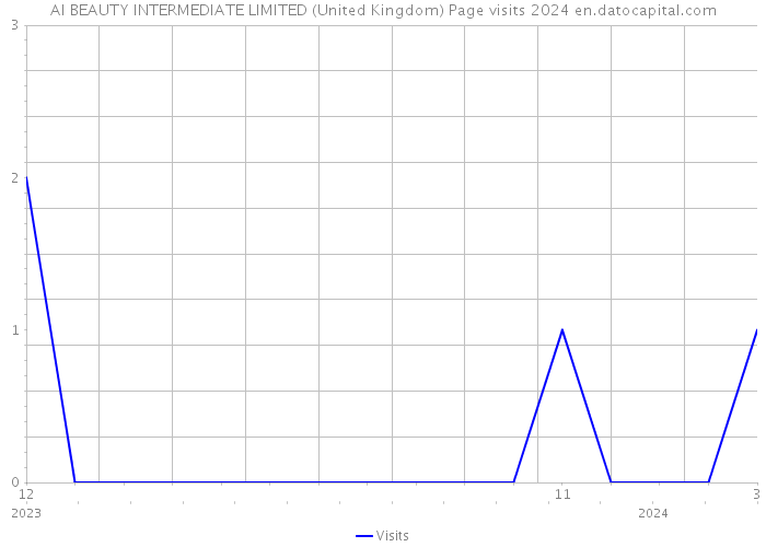 AI BEAUTY INTERMEDIATE LIMITED (United Kingdom) Page visits 2024 