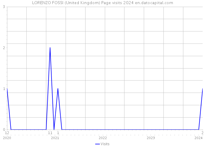 LORENZO FOSSI (United Kingdom) Page visits 2024 